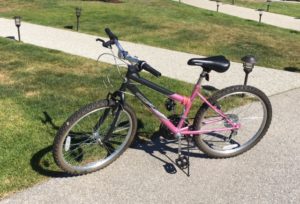 Stolen Bike